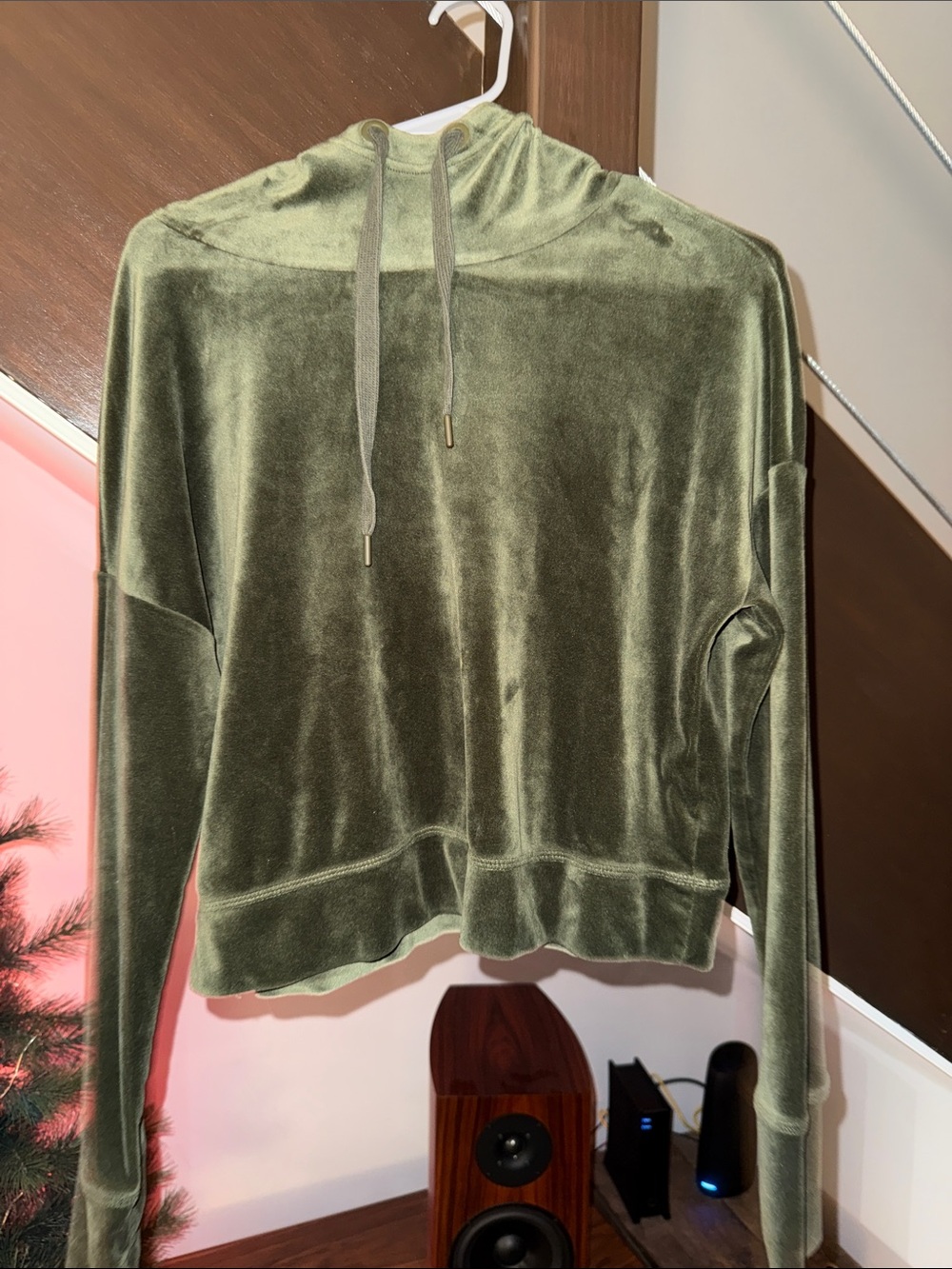 aerie Olive Green Velour Hooded Pullover